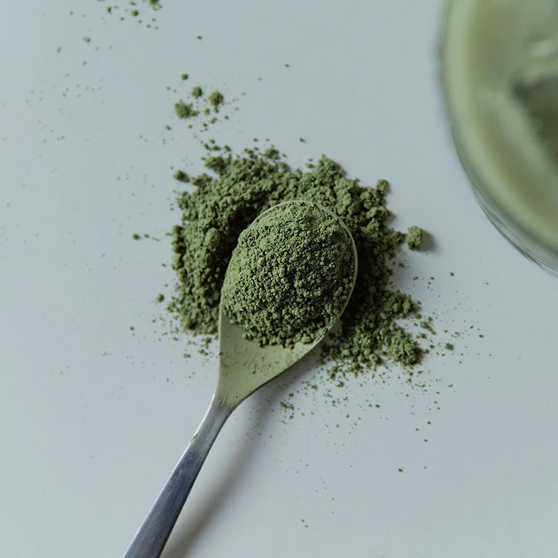 Poudre Matcha Menthe Aroma matcha - green tea macha matchae
